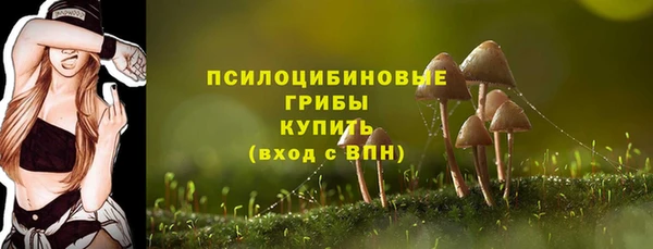 Альфа ПВП Абдулино