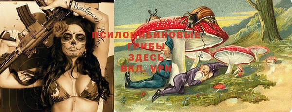 прущая мука Абаза