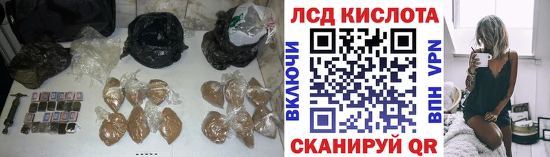 дарнет шоп  Красноармейск  ЛСД экстази кислота 